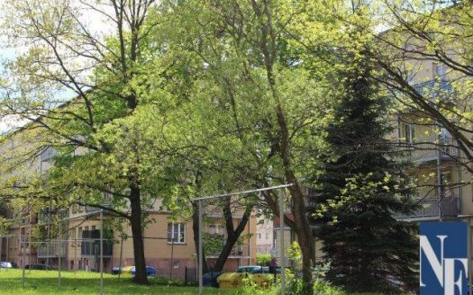 ruhige Gewerbeeinheit, in der Nähe zum Stadtzentrum, mit Anlieferungsmöglichkeit